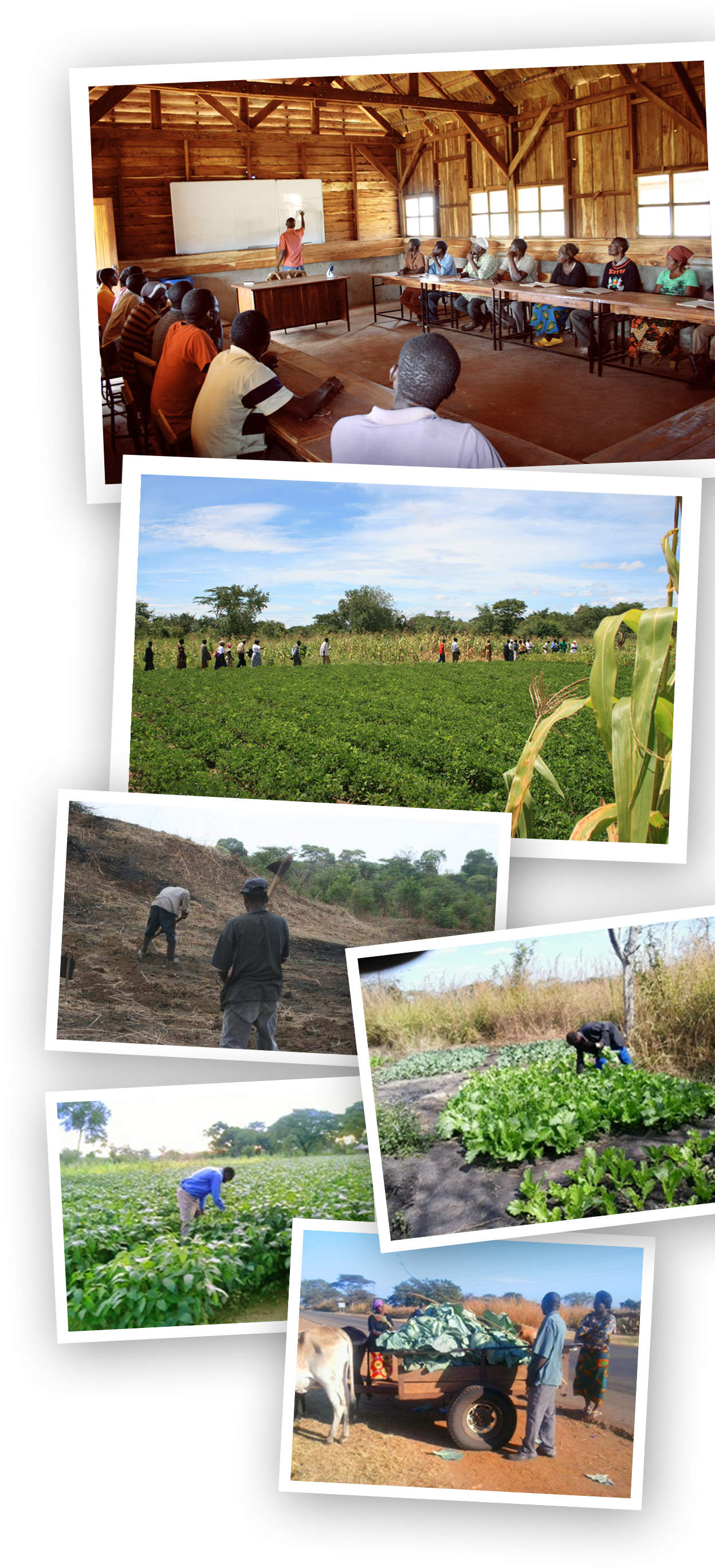 Ibala School Entreprise Challenge